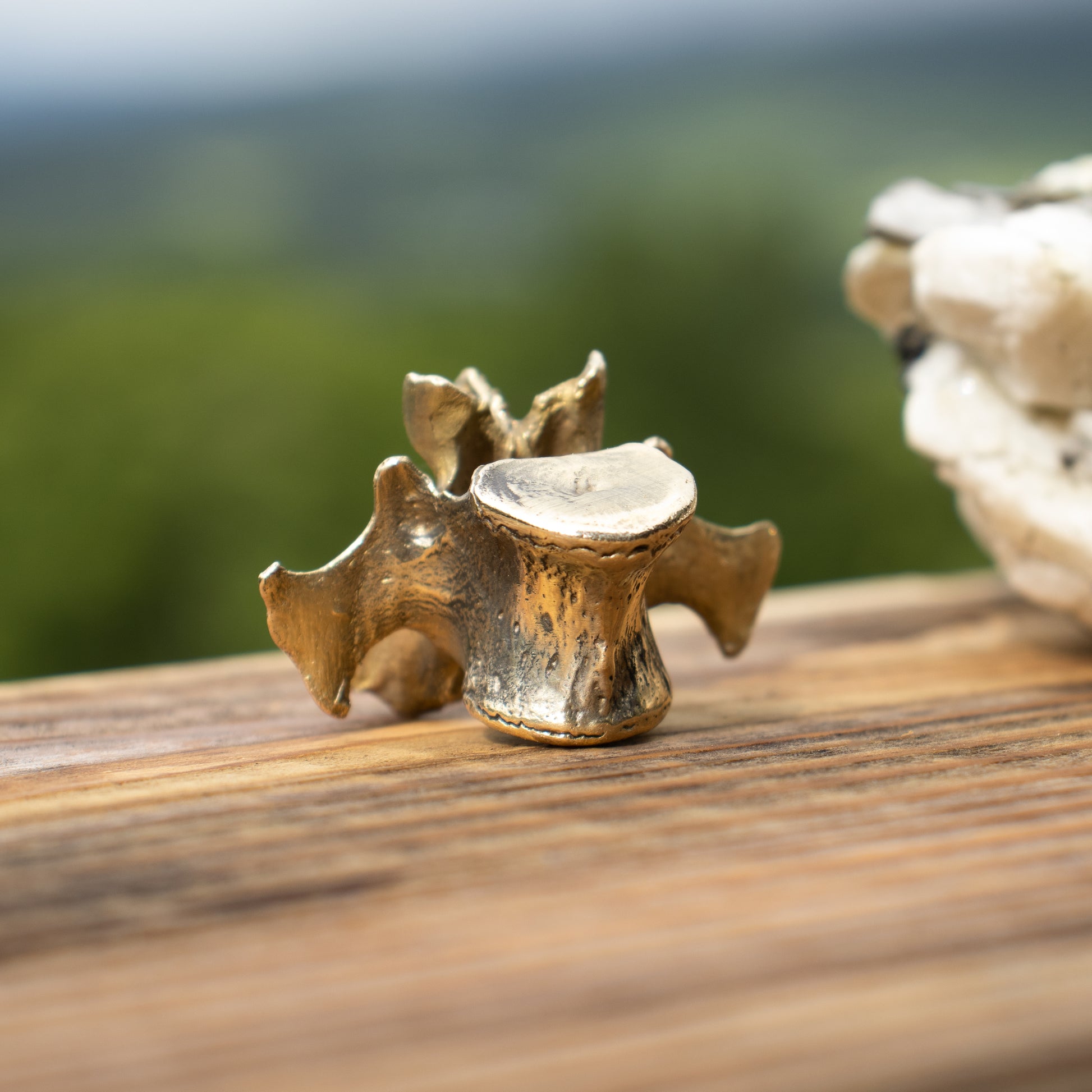 Solid reclaimed brass small vertebrae objet d' art measuring 1.5 inches across and finished in our Catskills store-studio.