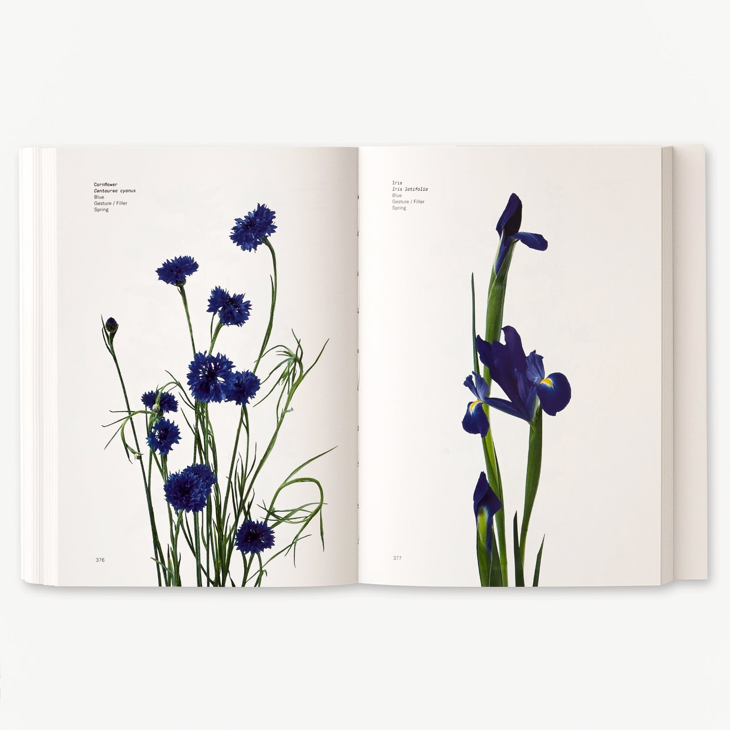 The ultimate color-by-color flower reference guide from New York's pre-eminent floral designers, Putnam and Putnam, with 484 pages and 400 full-color, full-page illustrations in a 7 x 5 inch paperback published by Phaidon.