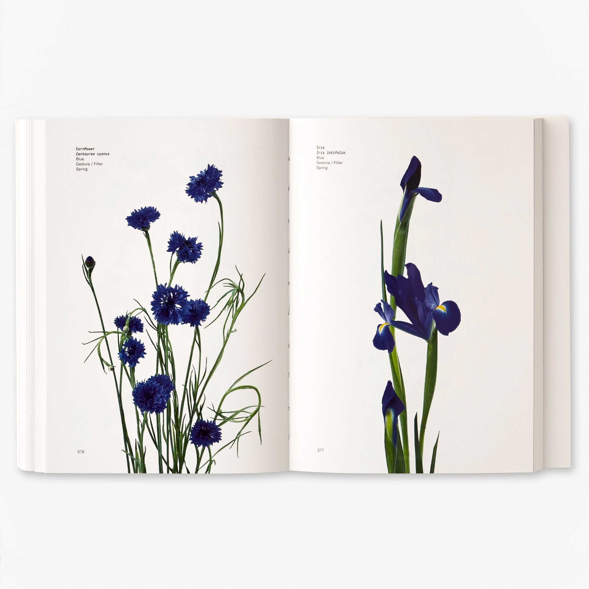 The ultimate color-by-color flower reference guide from New York's pre-eminent floral designers, Putnam and Putnam, with 484 pages and 400 full-color, full-page illustrations in a 7 x 5 inch paperback published by Phaidon.